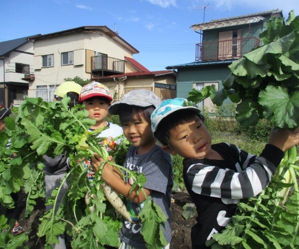 ひかり保育園栃木 _ 栃木市 保育園 一覧 – ひかり保育園の施設情報・保育内容 – MSKYXA